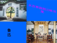 最全的《回忆鲁迅先生》经典语句大全