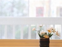 《幸福好地是奋斗出来的》语录摘抄