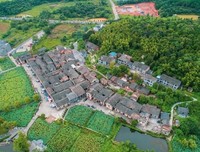自觉不自觉
