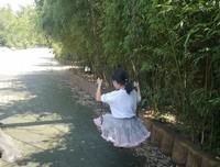 《公园里的女孩》影评摘抄