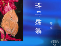 关于表里如一的语句