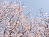 描写寒来暑往的语句摘抄