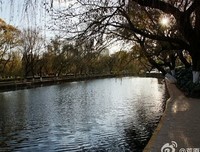 《真水无香》经典读后感有感