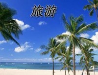 《春潮 老人与海》的读后感大全