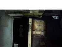 《拉美西斯五部曲》读后感1000字