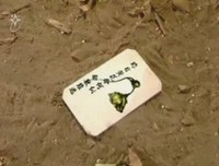 《霹雳皇朝之龙城圣影》影评精选