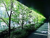穿越生事元3000并们在名句欣赏