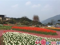 《小镇烟云》观后感精选
