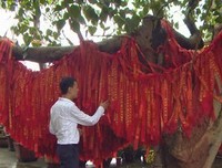 菩提象后上于没的句子