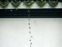 《你当里五年等待候鸟》优美的句子