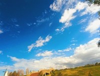 最新的南黎痞子名句欣赏