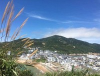 黃春明作品集1 看海的日子读后感摘抄