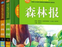 《挪威的森林》读后感摘抄