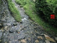 《泉水叮咚》好看吗？经典影评锦集