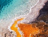治愈系经典名句