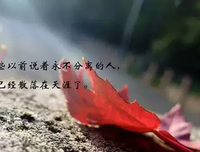 有关一对、不见的句子