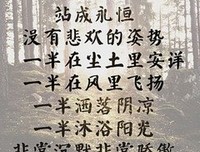 席慕容经典语录