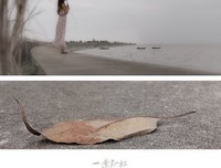热情激荡的好句的优美句子