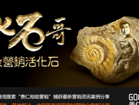 雪球读后感锦集