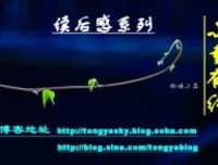 《玉观音》经典读后感有感