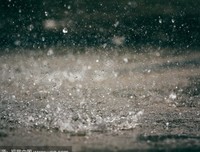 暴风雨优美的句子