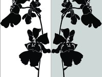 《兰花花》经典影评有感