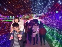 夫如舞 飞扬的句子