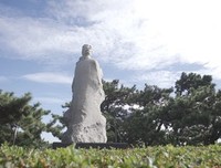 读《一只叫风的鸽子》有感