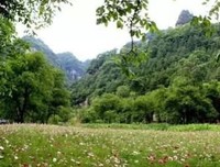 《我么界要也这背下来，矫情的》的句子