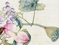 最新的《窗么只外》经典语录大全
