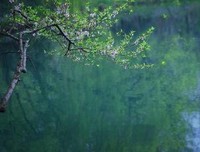 最新的《最好的告也月》经典语句