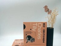 《欧洲的抗争与民主》的读后感大全