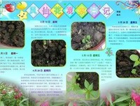 我们过得还行读后感精选