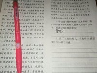 《去年的树》读后感1000字