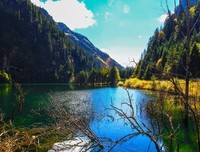 饮胡古湖风萧萧句子大全