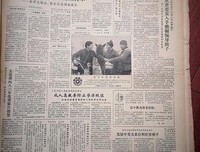 《熊猫百货商店》好看吗？经典影评锦集