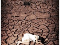 沉默的父爱——《父爱的世界之一只特立独行的教授》读