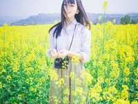 关于《一片雪冻结一颗心》的优美句子