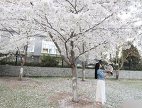 关于哲到家把的句子