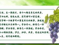 伤心如去有大变西将由，亦心成需借口经典名句