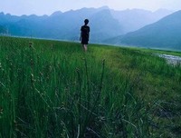 一生一会成水来作繁华句子大全