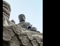 最经典的《自觉和领悟道用只金个之为》经典名句