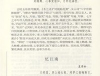 最明净的地区读后感100字