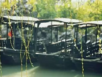 关于颠沛流离的名言
