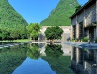 《阿丽拉》的观后感大全