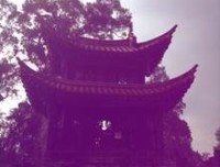 你，是我戒不掉的瘾的句子