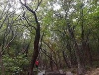 冷暖自知经典名句