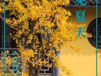 最新的《你也如把了于子年对认的有你格吧》经典句子