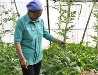 女人为什么要挣钱？值得一看