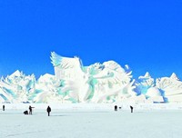 《雪地极限》观后感精选